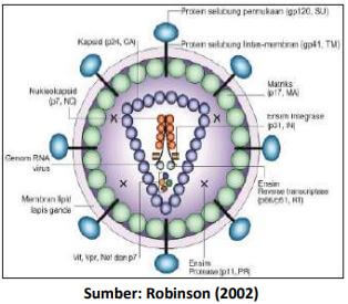 struktur virus hiv