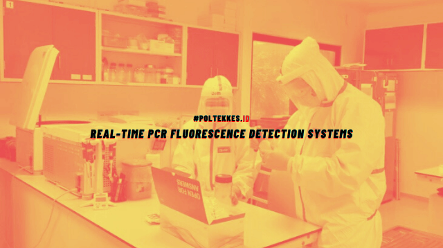 Real-time fluorescence detection systems