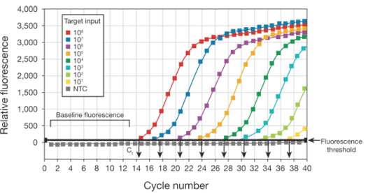 Relative fluorescence vs. cycle number pcr