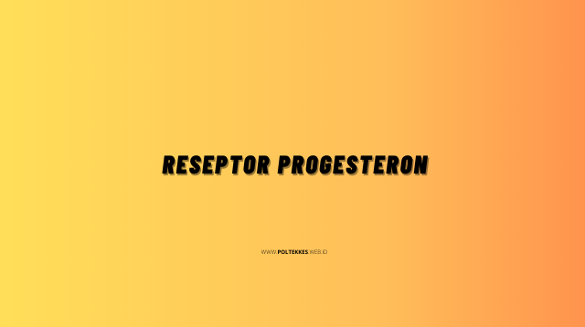 reseptor progesteron