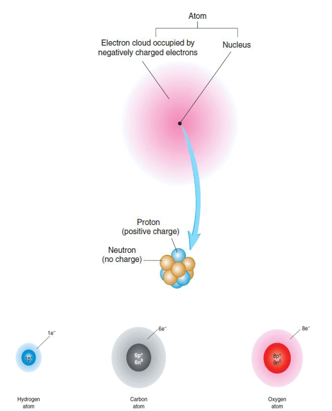 Struktur Atom sebuah elemen