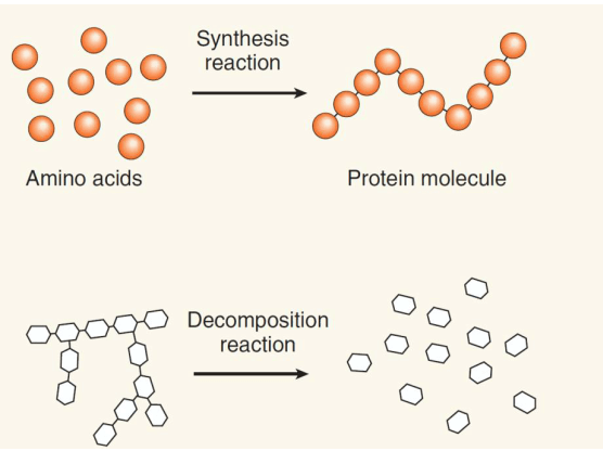 Reaksi partikel sederhana membentuk ikatan rantai sebuah molekul fungsional (synthesis reaction/reaksi sintesa/reaksi pembentukan). Sebaliknya, dapat terjadi reaksi penguraian dari molekul komplek menjadi partikel pembentuknya yang sederhana (decomposition reaction/reaksi penguraian) 