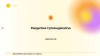 Pengertian Cytomegalovirus