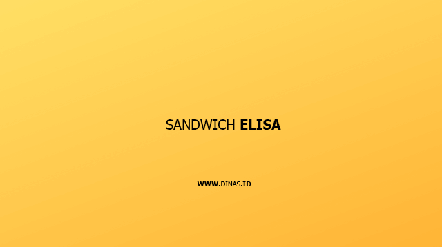 sandwich elisa