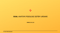 Soal Anatomi Fisiologi Sistem Urinaria