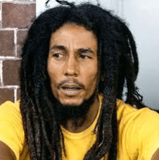 musisi terkenal dari Jamaika yang mengusung musik bergenre reggae
