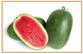 Buah semangka tanpa biji