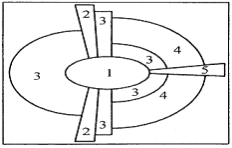 Wilayah angka 1 dan 5 seperti gambar teori konsentris difungsikan untuk